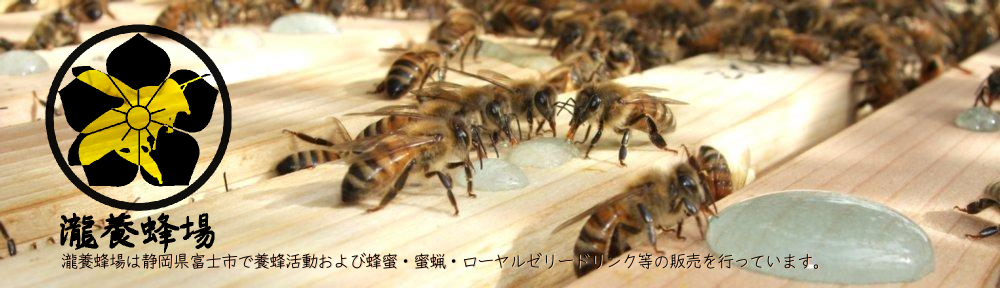 瀧養蜂場